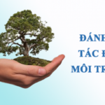 Hợp đồng tư vấn đánh giá tác động môi trường khu đô thị nghỉ dưỡng tại Quảng BÌnh