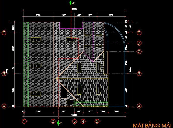 Nhà biệt thự 2 tầng 12x10m