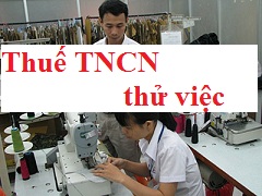 Tính thuế TNCN trong thời gian thử việc như thế nào?